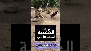 من أمن العقاب أساء الأدب@الناس@Almojtama_1