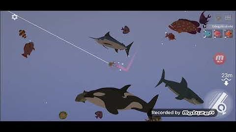 Fishing life #1 cau ca voi sat thu