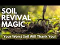 Transform Hard, Lifeless Soil into a Garden Paradise – Easy Soil Method That Works!