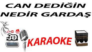 CAN DEDİĞİN NEDİR GARDAŞ KARAOKE [3DTÜRKİYE KARAOKE] Resimi