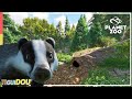 THE SET! | Badger Habitat | Tiguidou Zoo Episode 15 | Planet Zoo