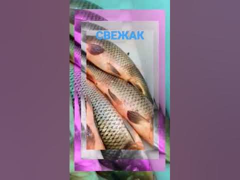 Свежий улов г. Омск - YouTube