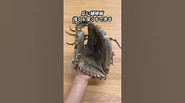 次のグローブに選びませんか 