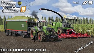 Silage harvest with MrsTheCamPeR 🇳🇱 | Animals on Hollandscheveld | Farming Simulator 19 | Episode 3
