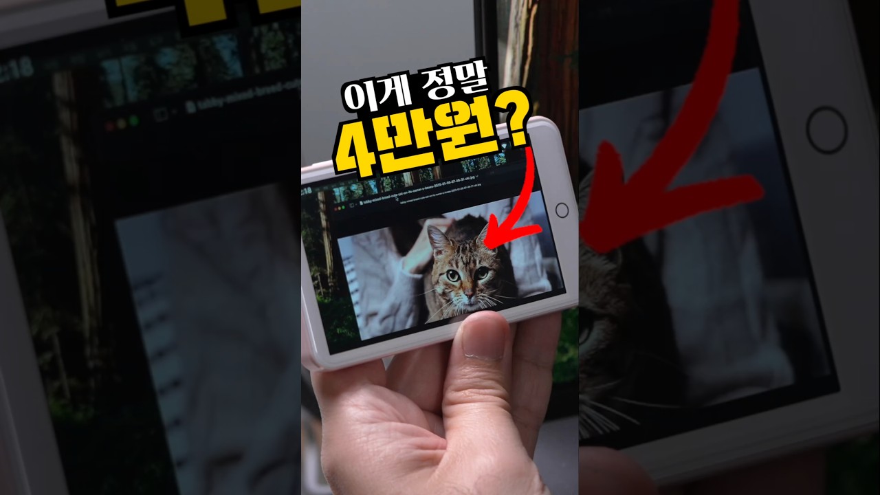 이게 정말 4만원이라고? ㅋㅋㅋㅋ 미쳤네 이거