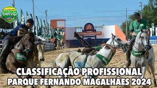 CLASSIFICAÇÃO PROFISSIONAL VAQUEJADA PARQUE FERNANDO MAGALHÃES EM PIRACURUCA-PI BETVIP PORTAL 2024