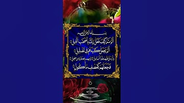 ألم ترى كيف فعل ربك بأصحاب الفيل 💕سورة  الفيل حالات واتس اب دينية قصيرة Quran status 🌻