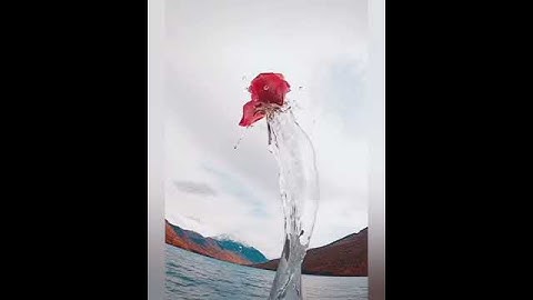 سوره القارعة بصوت الشيخ فارس عباد|Surah alqarieuh|꾸란