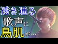 【透き通る歌声に思わず鳥肌が...?!】イヌ/きゃない オリジナルソング
