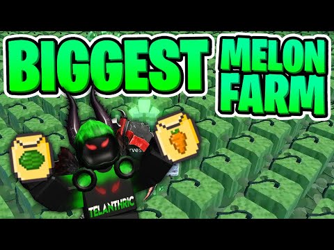 Biggest bee farm in Roblox bedwars? (Not me in the picture