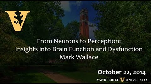 Neurons to Perception: Insights into Brain Function and Dysfunction 10.22.2014