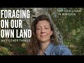 Foraging on our land - Tending to seedlings and building with natural materials - Off-grid Portugal