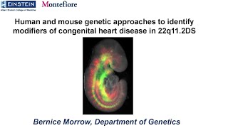 2021 22q11 Deletion Syndrome Virtual Symposium - Session 1, Bernice Morrow, PhD