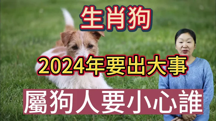 生肖狗！2024年要出大事！生肖狗需要小心誰？2024年生肖狗需注意哪些方面！生肖狗2024年謹慎行事會助自己的財運以及運程！#生肖 #運勢 #佛教 #命理 - 天天要聞