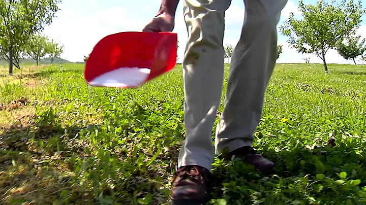 Fertilizing Your Established Fruit Trees