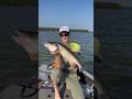 Классная рыбалка на Вилейке. Подробное видео позже. #врек #rec #fishing #spining #shorts #shortvideo
