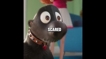 2 Times The Honey badger was Scared In Despicable Me 4....