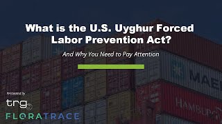 What is the Uyghur Forced Labor Prevention Act? [Full Webinar]