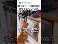 ポップコーン機の前に座ってるワンちゃん