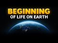 Beginning of life on earth  islamic history  wisdom bank