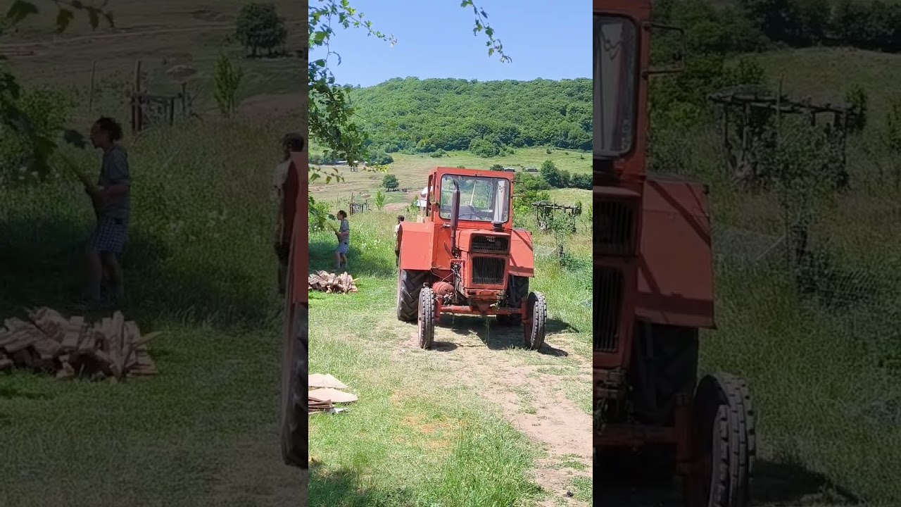 Мастерская SolarPunk Homestead - Оптимистичная концепция