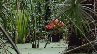 Dark Green | Alone in the Amazon - Trailer 2022