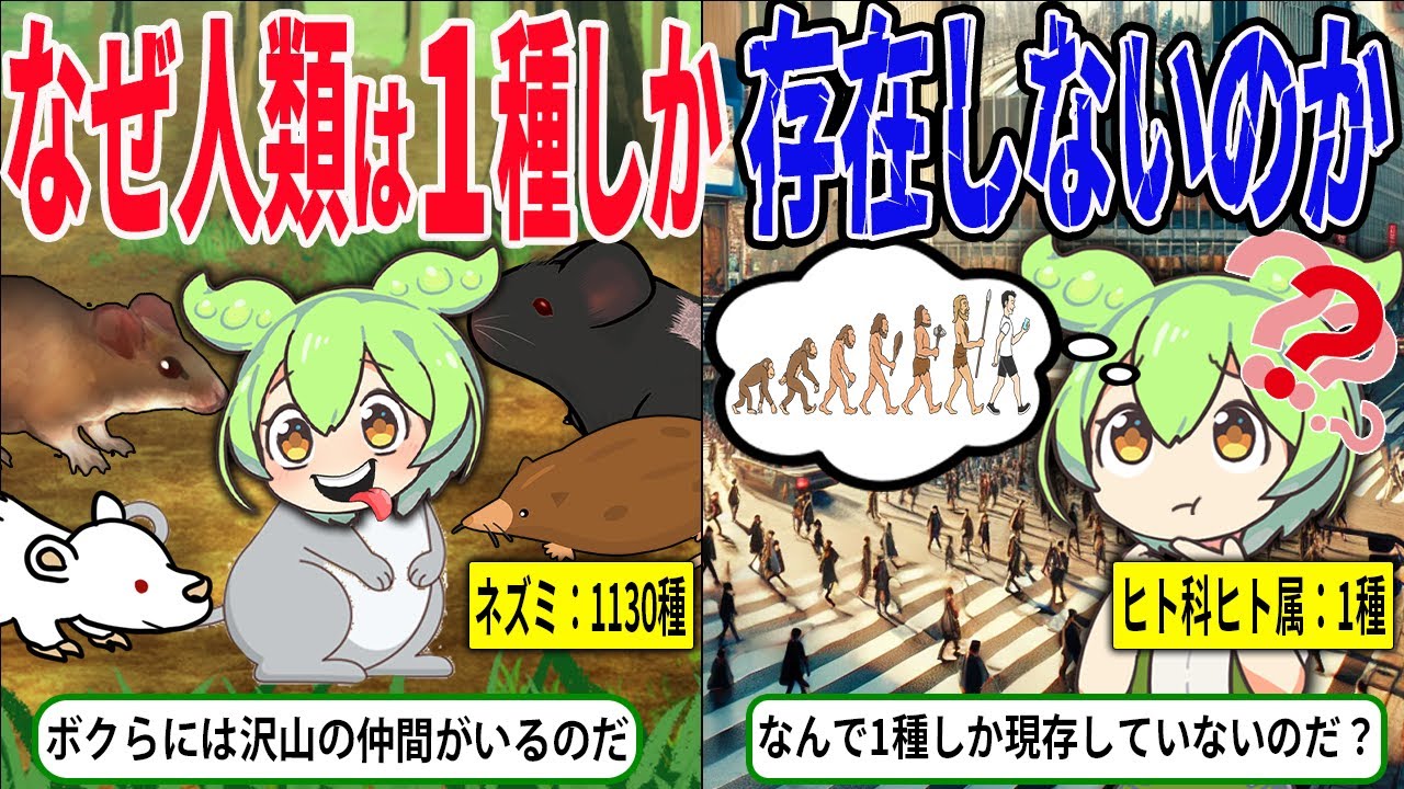 なぜヒト科ヒト属の生物は1種しか存在しないのか【ずんだもん＆ゆっくり解説】