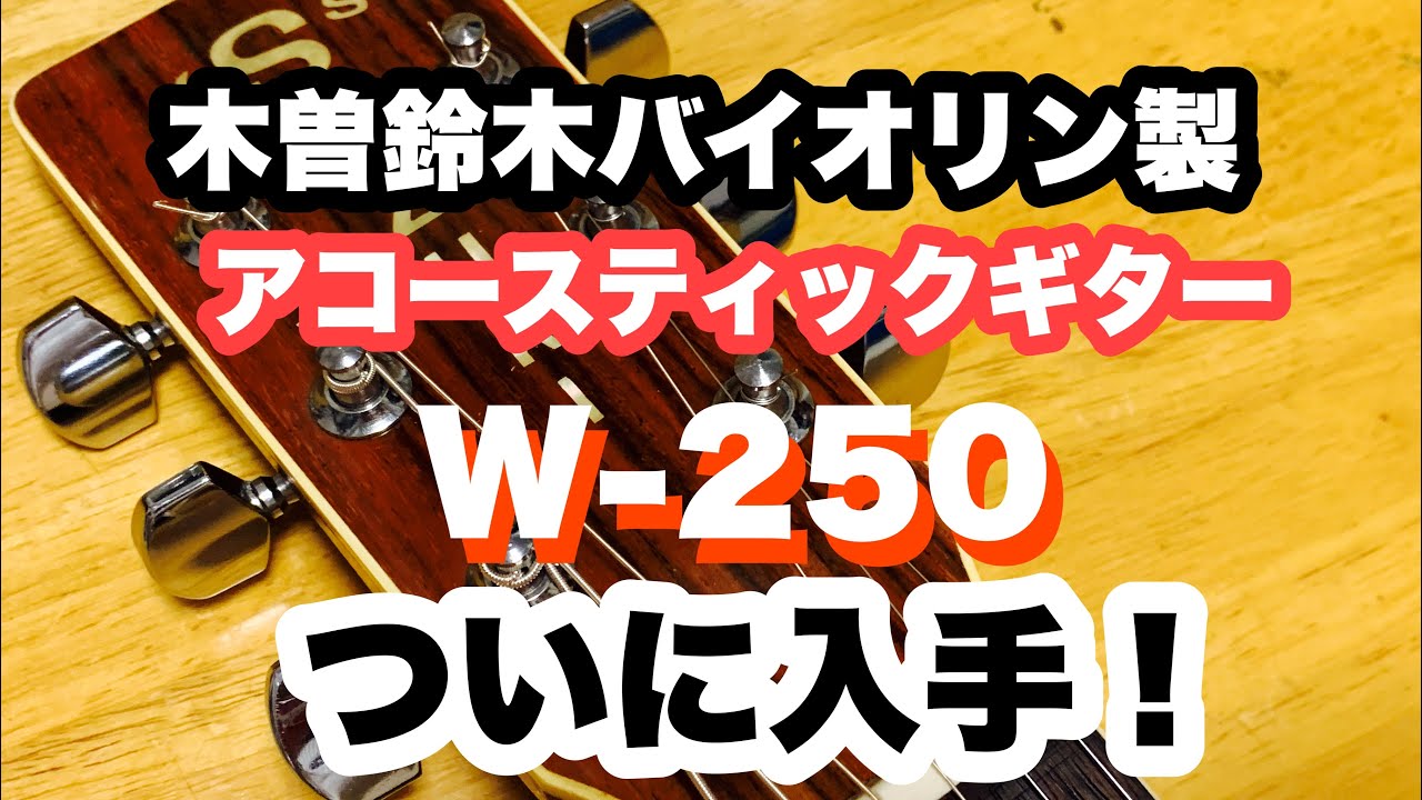 専用　スズキバイオリン W-250 アコースティックギター　スリーエス