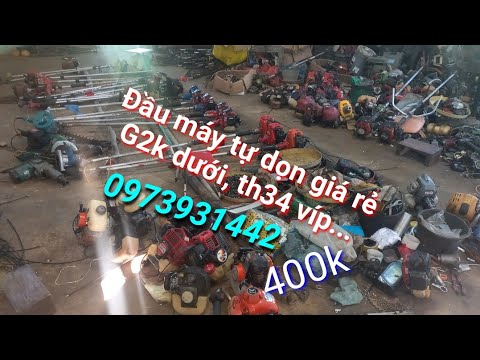 Video: Máy Cắt Cỏ Chạy Xăng (100 ảnh): Xếp Hạng Các Dòng Máy Tự Hành Tốt Nhất. Cách Chọn Máy Cắt Cỏ Cầm Tay Cho Cỏ: Tổng Quan. Thiết Bị