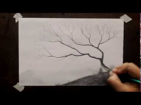 Pequeño árbol seco a lápiz/ Small dry tree with pencil. - thptnganamst.edu.vn