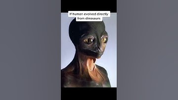 How Humans Could Have Evolved Differently #shorts #interesting