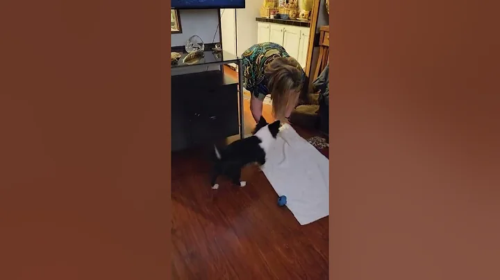 Gus and Mayson playing