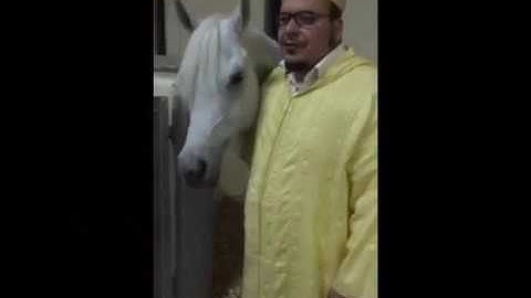 الشيخ عمر القزابري في تلاوة نهاوندية تقشعر منها الجلود