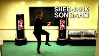 Download Lagu SONGAHM STYLE (Music Video) \ MP3