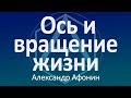 Ось и вращение жизни — позвоночник и дела. Первично тело или психика? Как они влияют друг на друга