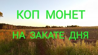 Коп монет на закате дня