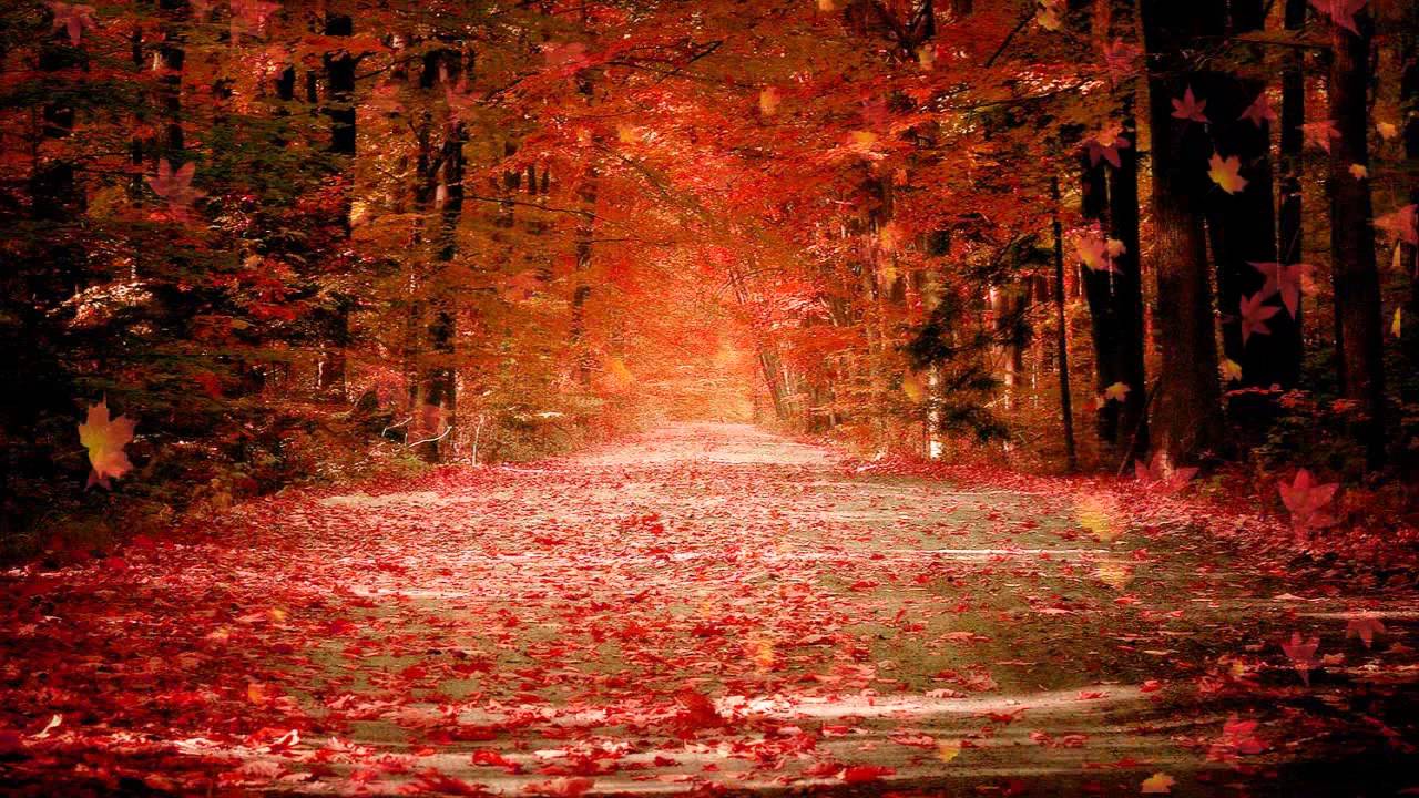 Autumn Dream Animated Wallpaper Youtube
