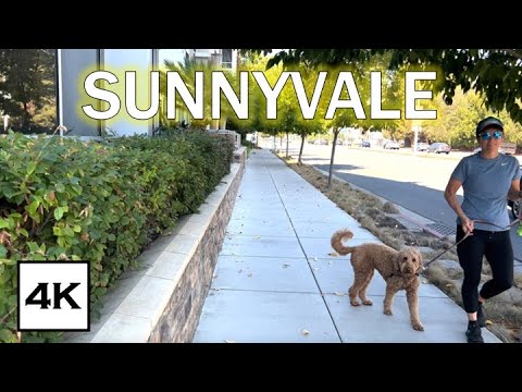 Sunnyvale ☀️ · California Afternoon Walk · 4K