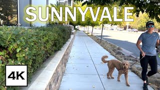 Sunnyvale ☀ · California Afternoon Walk · 4K