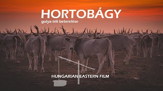 Hortobágy - Gulya Téli Beterelése Hortobágy - Gulya Téli Beterelése