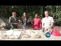 Taco Fest