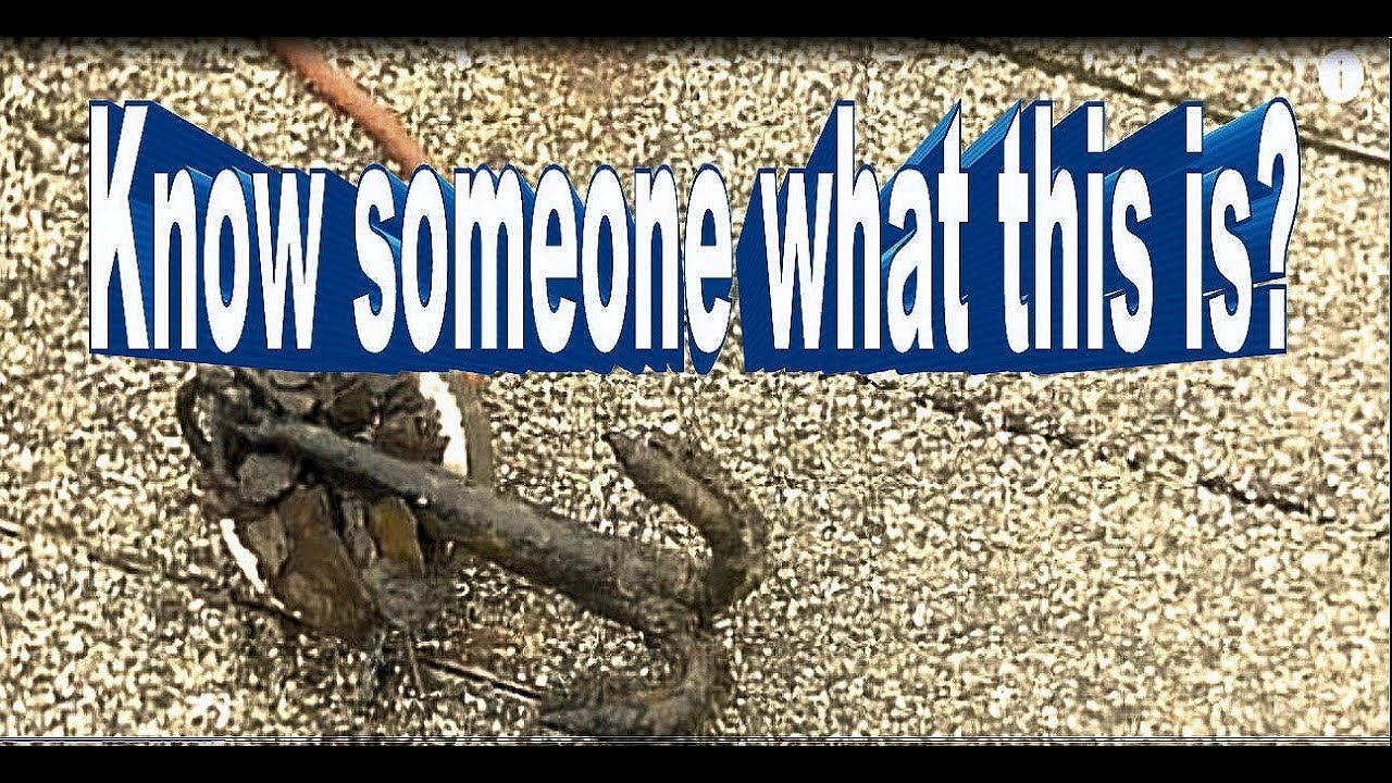 Magnet fishing 9 (magneetvissen) Know someone what this is? black mirror season 5