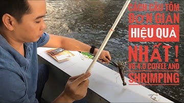Kỹ thuật câu tôm ở hồ câu giải trí dành cho người mới biết câu I Nam V8