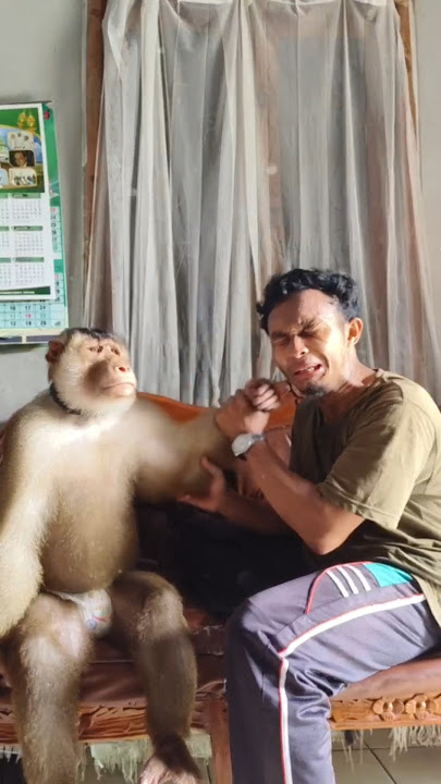 THE STORY OF Beruk Bastian BEFORE IT WAS IN THE RIGHT HANDS!!!