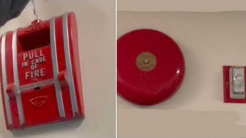 School fire drill tons of bells and strobes loud continuous system un-synced strobes￼