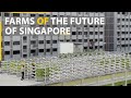 Singapore's grand plan to build the high tech farms of the future