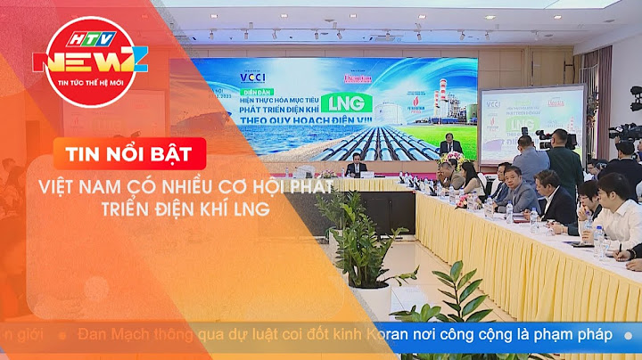 Báo cáo ngành lng khí hóa lỏng việt nam năm 2024