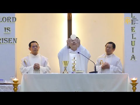 Video Thánh Lễ Chúa Nhật II Phục Sinh, 24/04/2022 - youtube