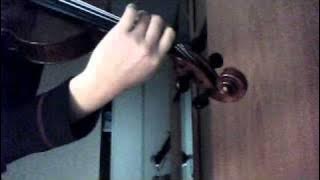 The GazettE voiceless fear violin