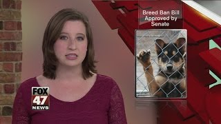 Bill Would Ban Breed Specific Restrictions